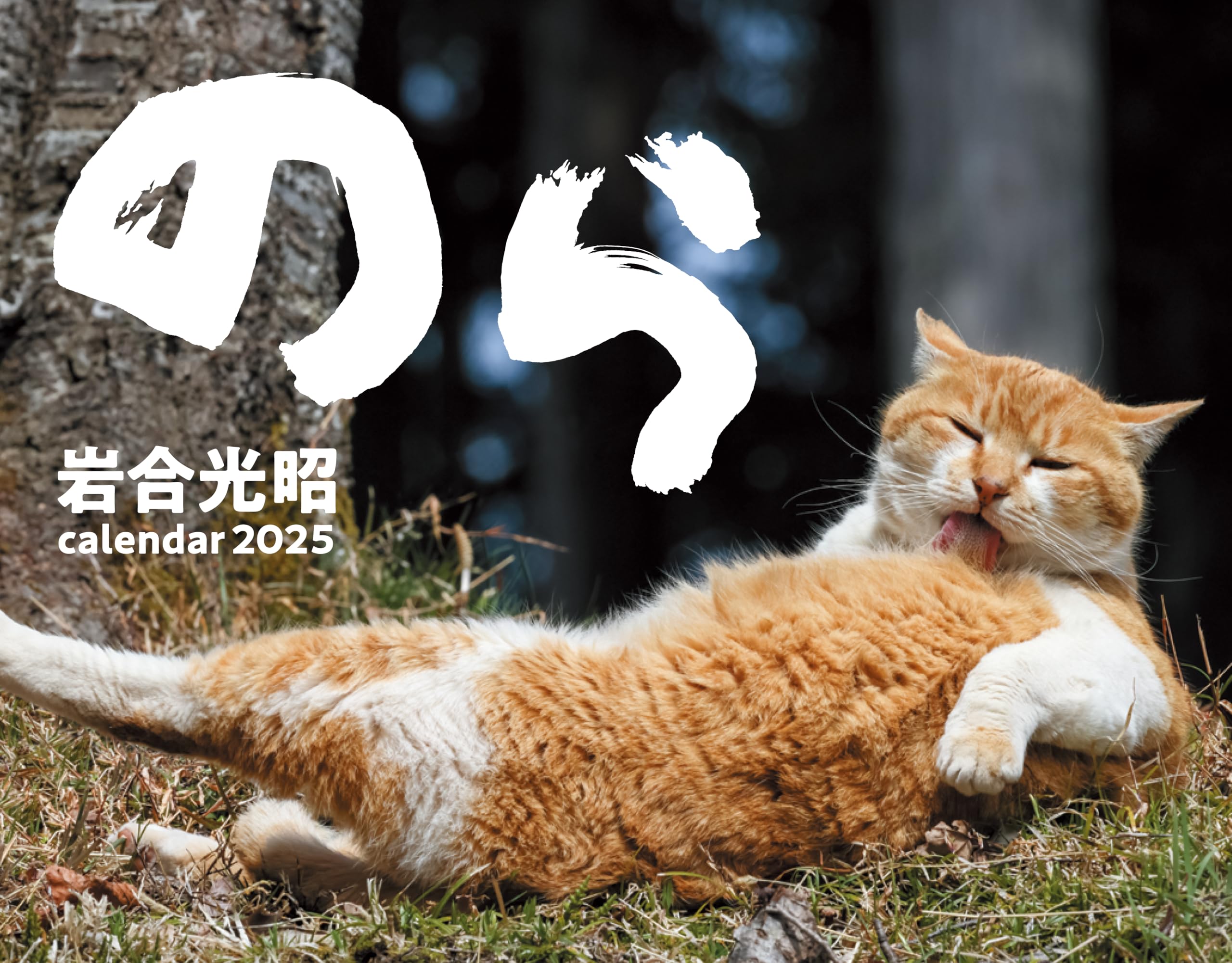 2025猫カレンダー のら ([カレンダー]) | 岩合光昭 |本 | 通販 | Amazon
